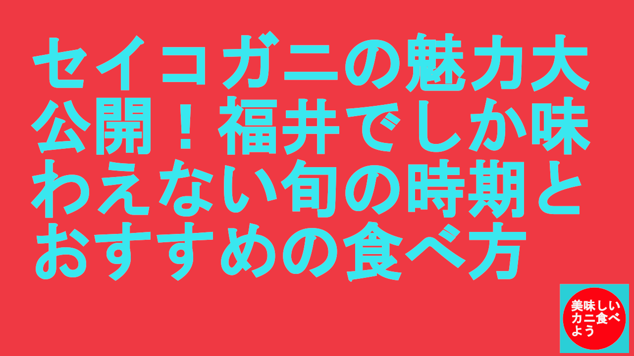 セイコガニ福井の時期