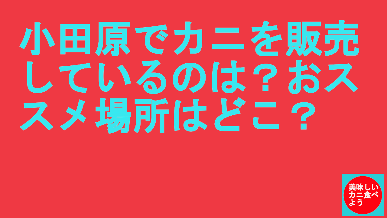 小田原でカニを販売しているところ