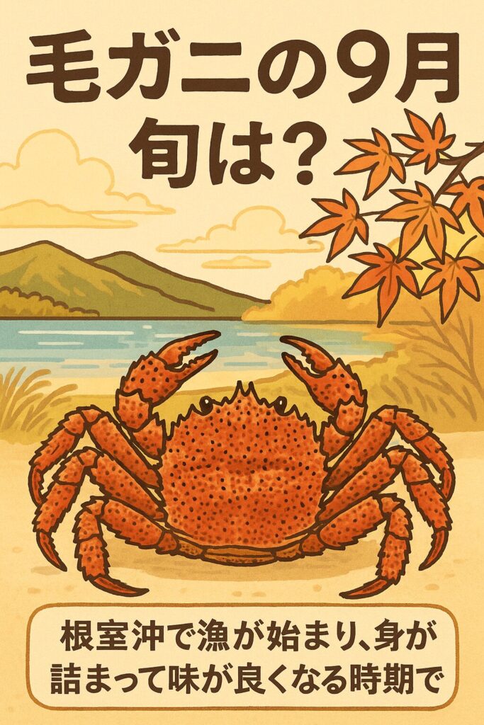 毛ガニの９月の旬