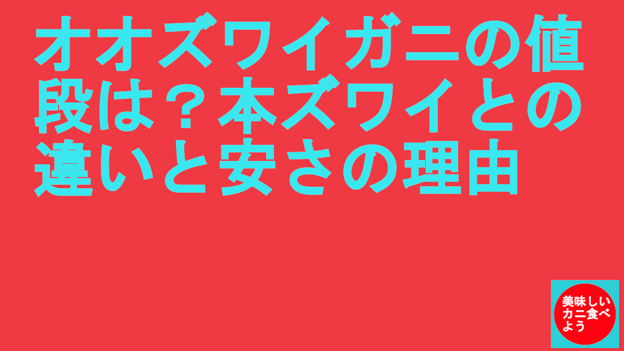 オオズワイガニの値段は？本ズワイとの違いと安さの理由