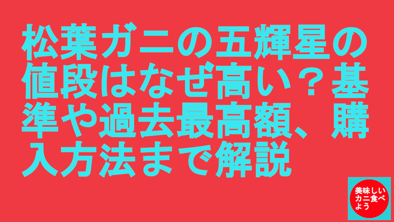 松葉ガニの五輝星の値段はなぜ高い？基準や過去最高額、購入方法まで解説