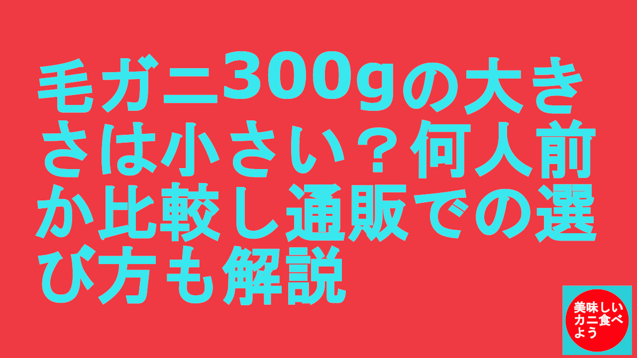 毛ガニ300gの大きさは小さい？何人前か比較し通販での選び方も解説