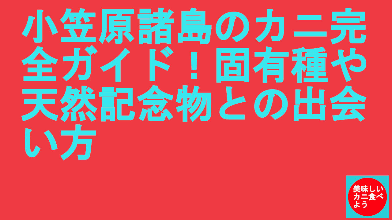 小笠原諸島のカニ完全ガイド！固有種や天然記念物との出会い方
