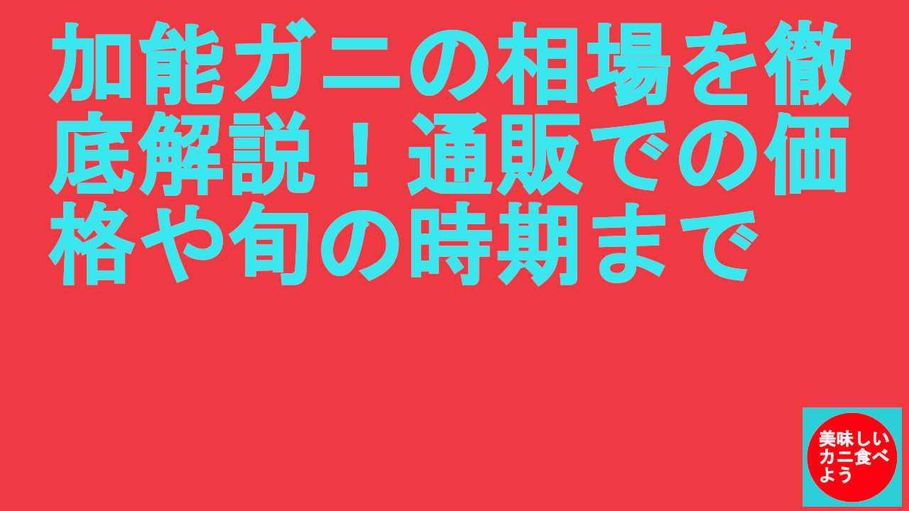 加能ガニの相場を徹底解説！通販での価格や旬の時期まで