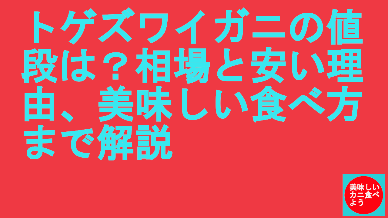 トゲズワイガニの値段は？相場と安い理由、美味しい食べ方まで解説