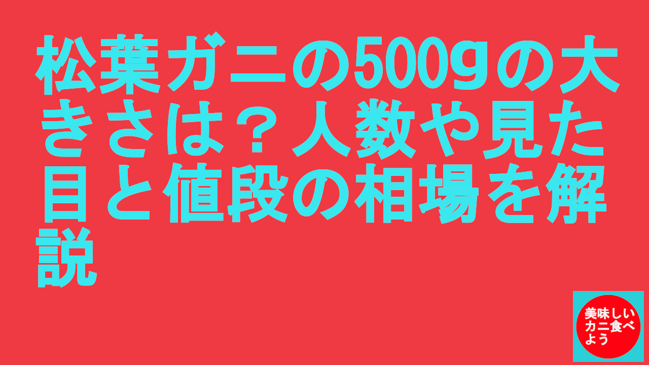 松葉ガニの500gの大きさは？人数や見た目と値段の相場を解説