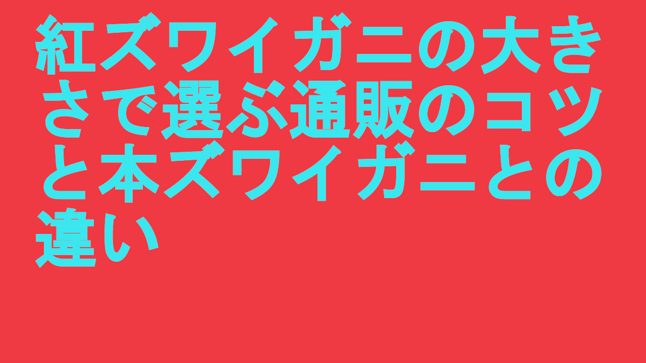 紅ズワイガニの大きさで選ぶ通販のコツと本ズワイガニとの違い